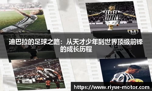 星空综合官网